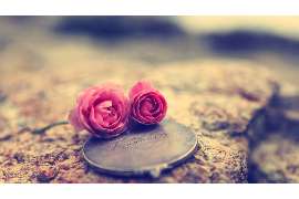 女性出轨:挽回婚姻的机会与方法 女性出轨:挽回婚姻的机会与方法